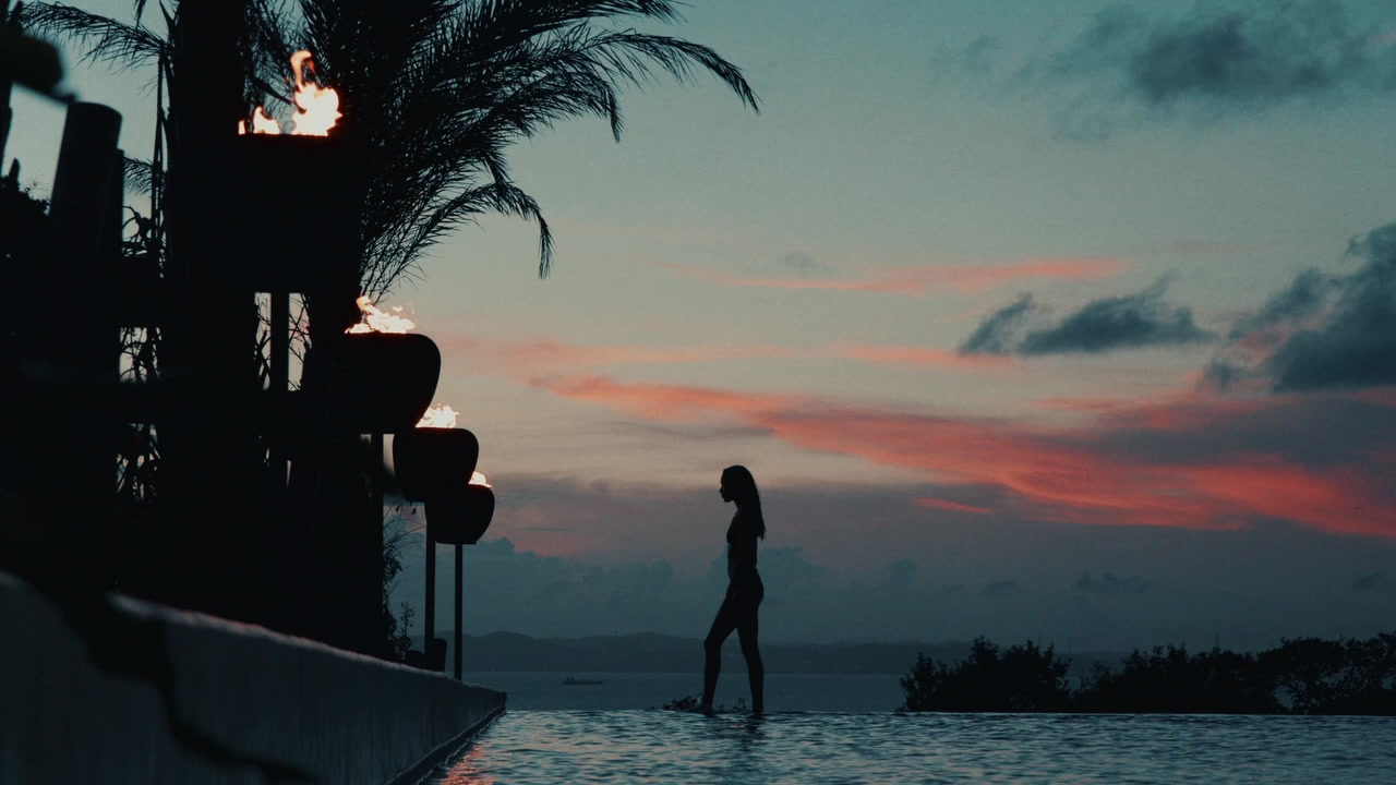 A silhouette against the evening sky